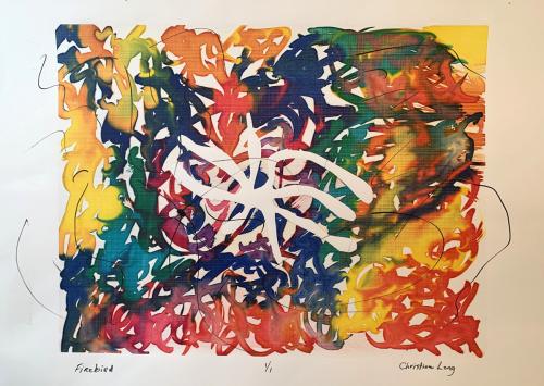 Firebird-Silkscreen-Print-15x22